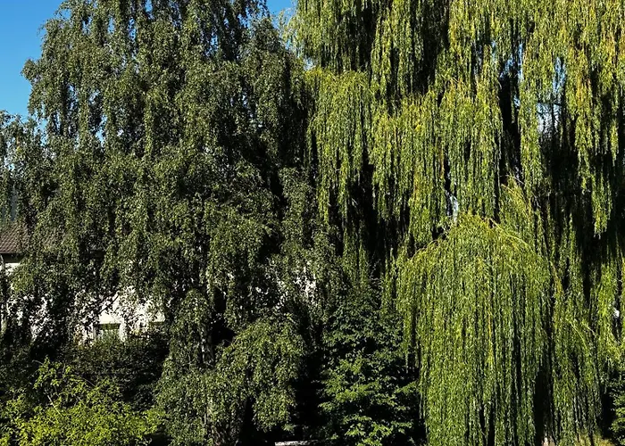 Apartamento Dankward